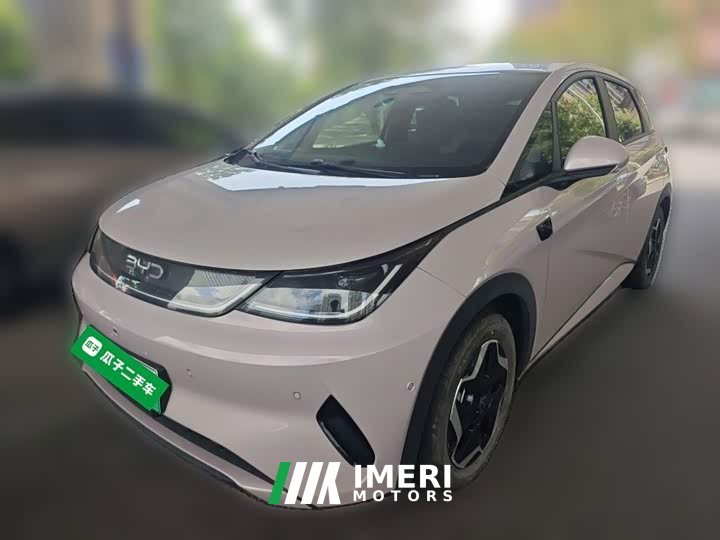 BYD Dolphin Smart Drive 420km Freedom Edition - ავტომობილი ჩინეთიდან