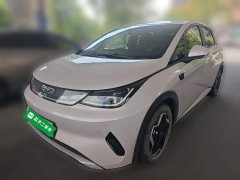 BYD Dolphin Smart Drive 420km Freedom Edition - ფოტო 1
