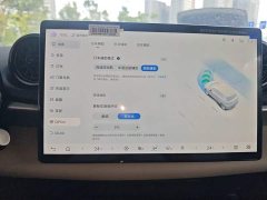 BYD Dolphin Smart Drive 420km Freedom Edition - ფოტო 20