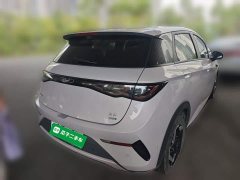 BYD Dolphin Smart Drive 420km Freedom Edition - ფოტო 4