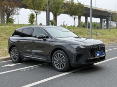 Ford Adventurer 2023 2.0T FWD Elegant Edition - ფოტო 3