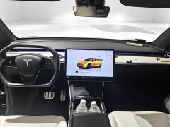 Tesla Model Y 2022 Performance All-Wheel Drive - ფოტო 6