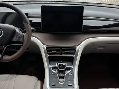 BYD Song Pro New Energy DM-i 51km Premium - ფოტო 19