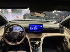 BYD Song Pro New Energy DM-i 110KM Glory Edition Exceed - ფოტო 7