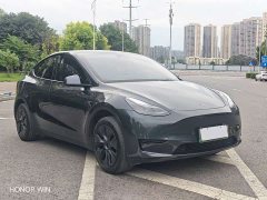 Tesla Model Y Rear-Wheel Drive - ფოტო 3