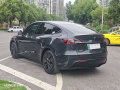 Tesla Model Y Rear-Wheel Drive - ფოტო 8