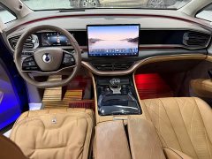 Denza D9 2022 DM-i 970 AWD Flagship - ფოტო 11