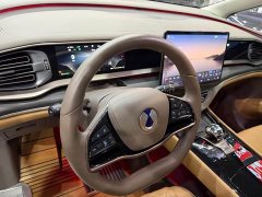 Denza D9 2022 DM-i 970 AWD Flagship - ფოტო 6