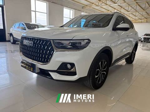 2023 Haval H6 National Trend Edition 1.5T Automatic Urban Version