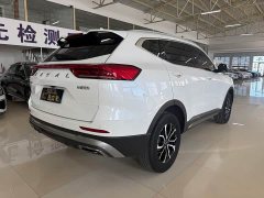 Haval H6 National Trend Edition 1.5T Automatic Urban Version - ფოტო 11