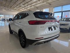 Haval H6 National Trend Edition 1.5T Automatic Urban Version - ფოტო 12