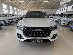 Haval H6 National Trend Edition 1.5T Automatic Urban Version - ფოტო 2