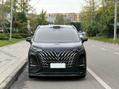 Denza D9 DM-i 945 Executive Edition - ფოტო 2