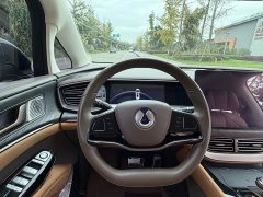 Denza D9 DM-i 945 Executive Edition - ფოტო 9