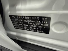 Tank 300 Off-Road Edition 2.0T Conqueror - ფოტო 10