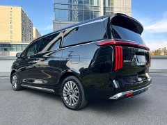 Great Wall WEY Shanshan New Energy Four-Wheel Drive Shanshan 8 - ფოტო 5