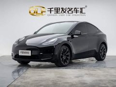 Tesla Model Y Long Range All-Wheel Drive - ფოტო 1