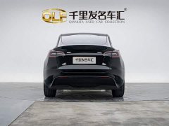 Tesla Model Y Long Range All-Wheel Drive - ფოტო 3