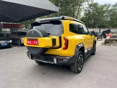 Deepal Deep Blue G318 Worry-Free Adventure Edition Four-Wheel Drive Mystic Realm Edition - ფოტო 13