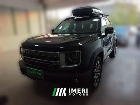 2024 Great Wall Dachshund 1.5T DCT Border Collie Edition - ავტომობილი ჩინეთიდან