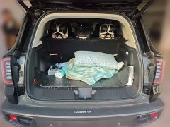 Great Wall Dachshund 1.5T DCT Border Collie Edition - ფოტო 15