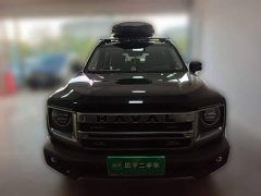 Great Wall Dachshund 1.5T DCT Border Collie Edition - ფოტო 2