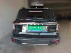 Great Wall Dachshund 1.5T DCT Border Collie Edition - ფოტო 3
