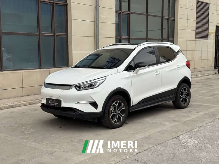 BYD Yuan Pro 2021 401KM Deluxe - ავტომობილი ჩინეთიდან