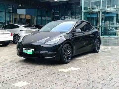 Tesla Model Y Performance - ფოტო 1