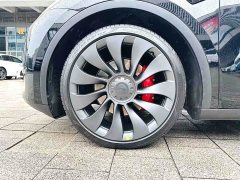 Tesla Model Y Performance - ფოტო 6