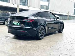 Tesla Model Y Performance - ფოტო 9