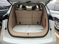 Buick GL8 Land Executive Cabin Comfort DG Edition - ფოტო 15