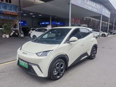 BYD Seagull 305km Freedom Edition - ფოტო 1