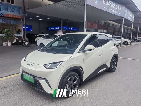 2025 BYD Seagull 305km Freedom Edition - ავტომობილი ჩინეთიდან