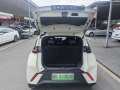 BYD Seagull 305km Freedom Edition - ფოტო 15