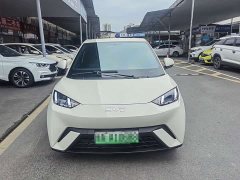 BYD Seagull 305km Freedom Edition - ფოტო 2