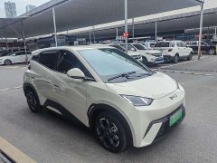 BYD Seagull 305km Freedom Edition - ფოტო 3