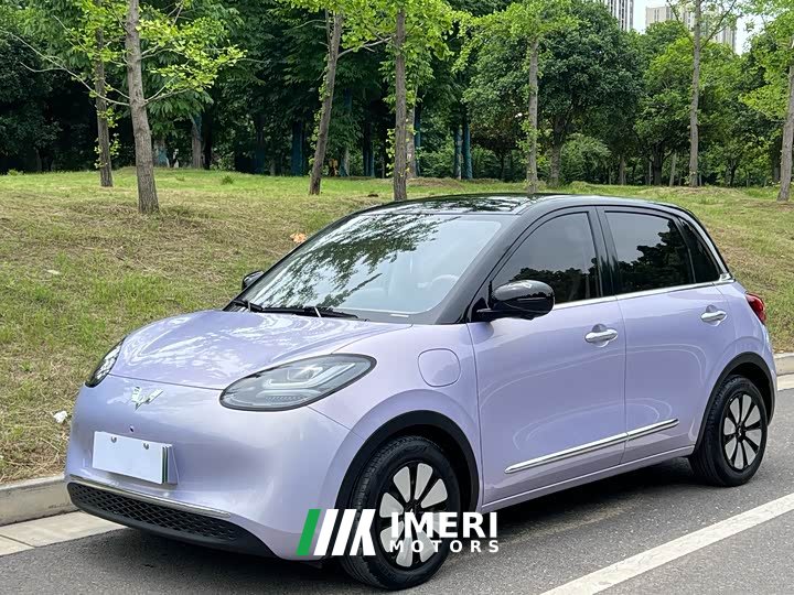 Wuling Bingo 410km Lingxi exclusive