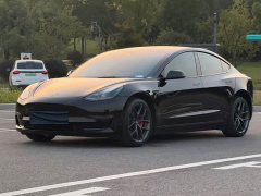 Tesla Model 3 Performance All-Wheel Drive - ფოტო 1