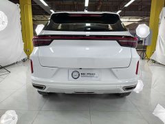 Changan Chitu Zhuifeng 2022 Riding the Wind and Waves Edition 1.5T CVT Good Fortune Peanut Edition - ფოტო 7