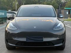 Tesla Model Y Rear-Wheel Drive - ფოტო 2