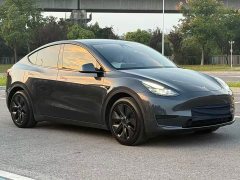Tesla Model Y Rear-Wheel Drive - ფოტო 4