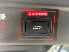 Lynk & Co 09 EM-P 2021 2.0T PHEV Halo Seven-Seater - ფოტო 9