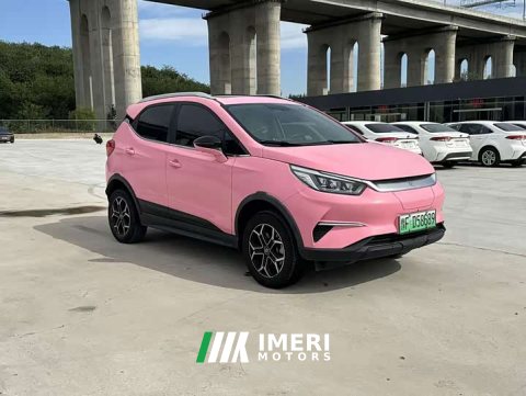 2021 BYD Yuan Pro 401KM Luxury - ავტომობილი ჩინეთიდან