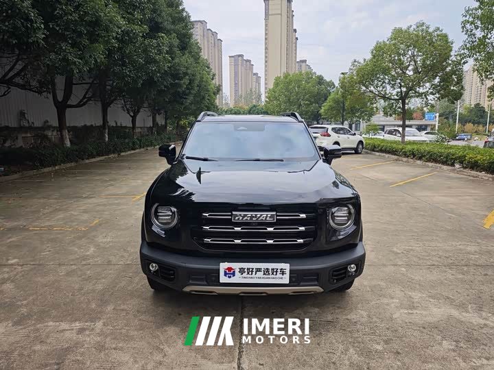 Great Wall Dachshund 2.0T DCT Four-Wheel Drive Howling Celestial Dog Edition - ავტომობილი ჩინეთიდან