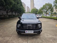 Great Wall Dachshund 2.0T DCT Four-Wheel Drive Howling Celestial Dog Edition - ფოტო 1