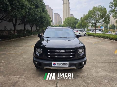 2022 Great Wall Dachshund 2.0T DCT Four-Wheel Drive Howling Celestial Dog Edition - ავტომობილი ჩინეთიდან