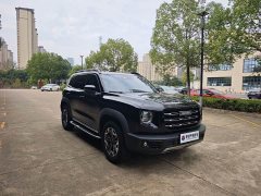 Great Wall Dachshund 2.0T DCT Four-Wheel Drive Howling Celestial Dog Edition - ფოტო 2