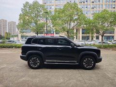 Great Wall Dachshund 2.0T DCT Four-Wheel Drive Howling Celestial Dog Edition - ფოტო 3