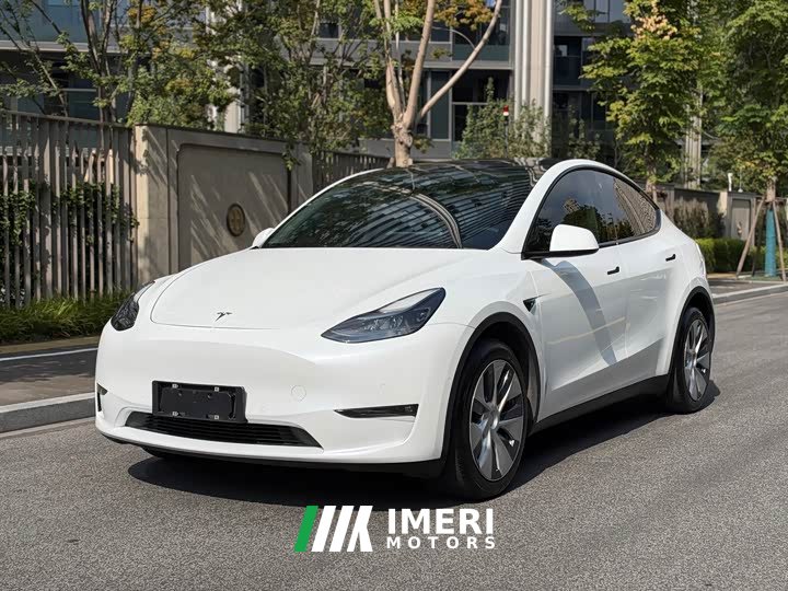 Tesla Model Y Long Range All-Wheel Drive - ავტომობილი ჩინეთიდან